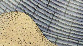 El efecto "arena movediza" es una de las principales causas de la muerte.