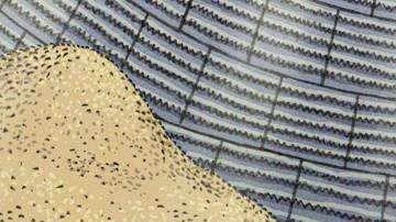 El efecto "arena movediza" es una de las principales causas de la muerte.