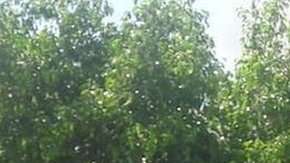 Muchas personas optaron por grabar lo que sucedía.