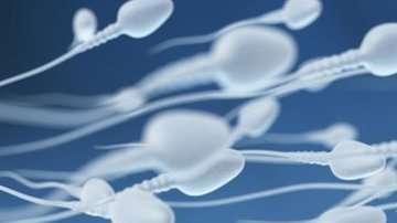 Muchos mitos existieron alrededor del semen.