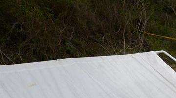 Violencia en México