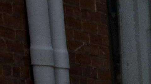 Las protestas en Charlottesville causaron 3 muertes.