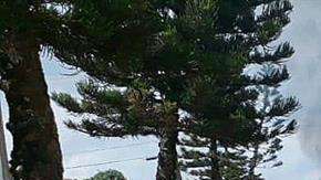 Los pobladores Pacaraima quemaron objetos de los venezolanos,