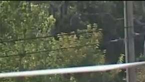 Un helicóptero de emergencias transporta a una alumna apuñalada.