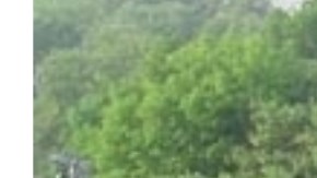 22 personas fueron detenidas en Queensbridge Houses por tráfico de drogas y posesión de armas