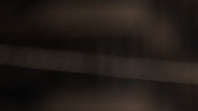 Dominicanos celebran su herencia en febrero.