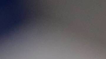 El dólar tuvo una jornada positiva.