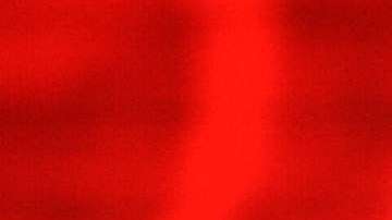 El senador John McCain.