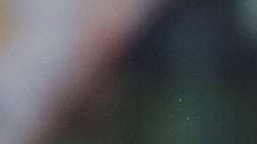 Palmeiras es uno de los equipos que jugarán los cuartos de final de la Copa Libertadores. (Foto: EFE/Sebastião Moreira)