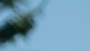 El concejal Rafael Espinal y el presidente de Brooklyn, Eric Adams están impulsando un proyecto de ley para producir comida local más saludable