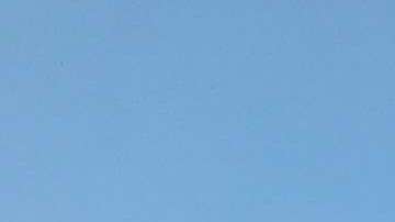 La aerolínea alega que el caso se trata de un simple “error de asignación de asientos”.