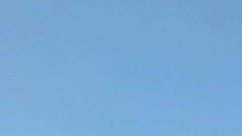 La aerolínea alega que el caso se trata de un simple “error de asignación de asientos”.