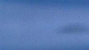 La mujer forcejeó con el reptil para salvar a su mascota.