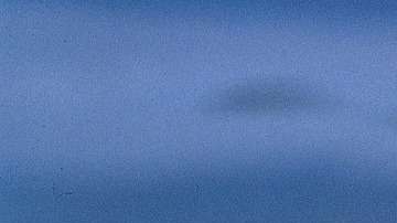 La mujer forcejeó con el reptil para salvar a su mascota.