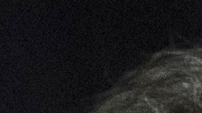 En las últimas semanas Nixon ha recabado dinero más que Cuomo