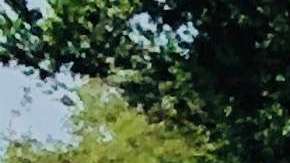 El alcalde de Tallahassee, Andrew Gillum, quiso ser el primer gobernador afroamericano de Florida