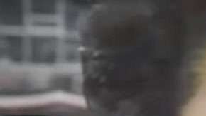 Aretha Franklin cantó el himno en la Serie Mundial de 1993.