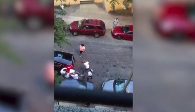 El pleito se reportó este martes en la avenida Creston cerca de la calle 182, en Fordham Heights.