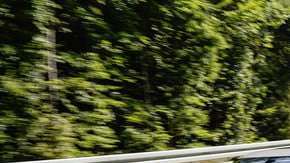 El futuro ha llegado