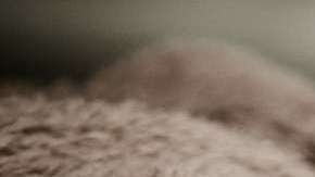 Las tasas de incidencia son comparables con las de las madres primerizas.