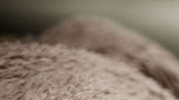 Las tasas de incidencia son comparables con las de las madres primerizas.