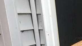 Ratchet es un perrito que por fin se reunió con su familia después de un año.