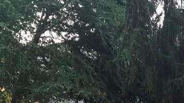 Parte de los prófugos al llegar a una casa