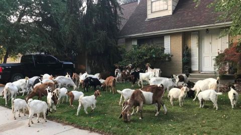 Parte de los prófugos al llegar a una casa