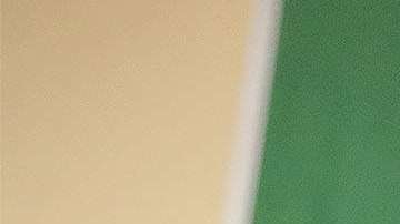 'Canelo' se prepara para la revancha contra Golovkin.