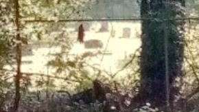 Dos fantasmas es lo que según los usuarios, alcanzan a ver.