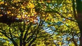 ¿Podemos odiar al futuro?