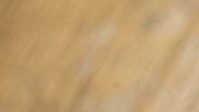 Churros with Dulce de Leche Sauce