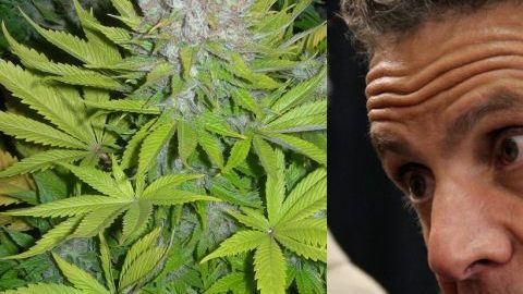 Cuomo creó un grupo de trabajo para legalización de marihuana.