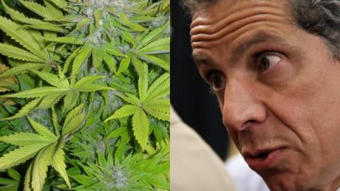 Cuomo creó un grupo de trabajo para legalización de marihuana.