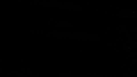 Diego Boneta y Camila Sodi.