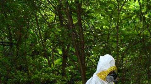 La marina de México decomisa 50 toneladas de drogas en Sinaloa.