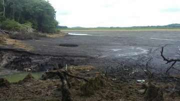 La laguna desapareció en horas.