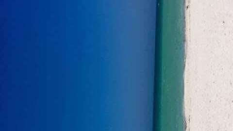 ¿Qué crees que sea la foto?