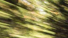 Dodge Journey, entre los afectados