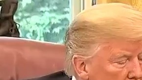 El presidente Trump tardó un poco en comunicarse con Peña Nieto.