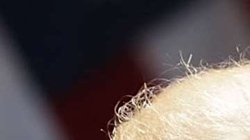 El presidente Trump está molesto con Omarosa Manigault Newman.