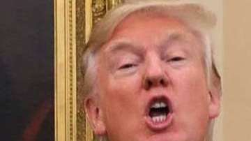 Trump se lava las manos con la polémica política de separación familiar en la frontera