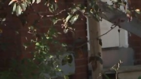 La víctima jugaba al escondite con sus amigos no muy lejos de su casa.