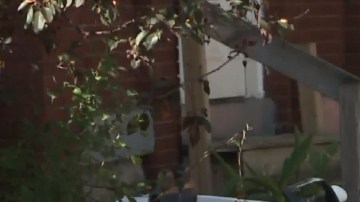 La víctima jugaba al escondite con sus amigos no muy lejos de su casa.