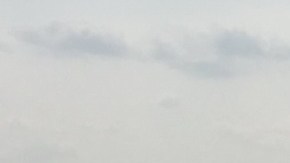 Unos 50 bomberos participaron en la emergencia