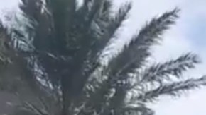 La Policía acordonó varias cuadras en torno al centro comercial.