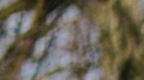 Los millennials piden cambio de sistema. Floris Jan-roelof / UnSplash