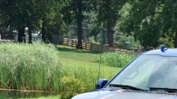 Las pickup, debilidad estadounidense.