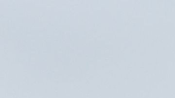 La pareja presidencial.