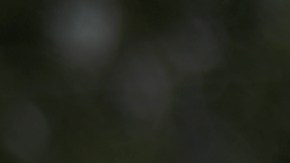 Seguidores de Trump portan carteles o ropa con la "Q", en referencia a QAnon.